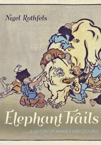 elephant trails